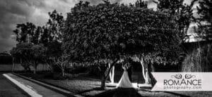 How Much Should You Spend On A Wedding Photographer